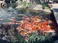 -罗红摄影艺术馆