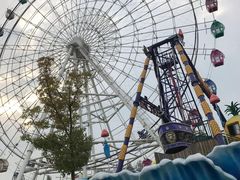 -洋湖国家湿地公园