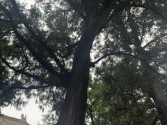 -红螺寺
