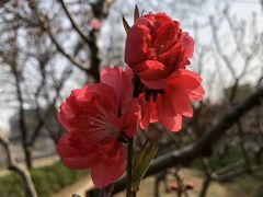 -望湖公园