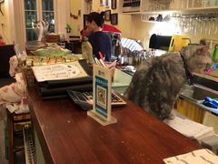 -猫色咖啡·猫咖