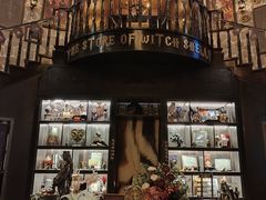 -雪灵魔法世界SHELLY’S TAROT(大良桂畔里店)