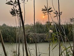 -大兴滨河森林公园