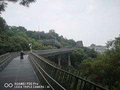 -福道