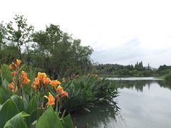 -贵阳市花溪国家城市湿地公园