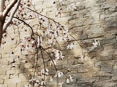 -东华门大街小区