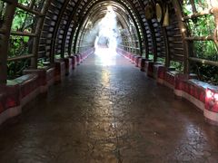-厦门方特水上乐园