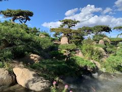 -罗红摄影艺术馆