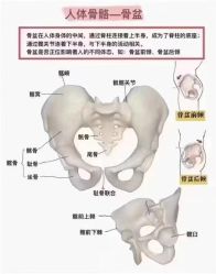 -归位瑜伽&归位普拉提