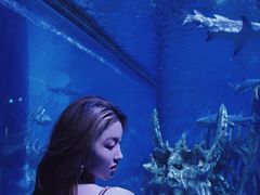 -哈尔滨波塞冬海底世界