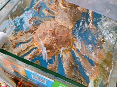 -江杨农产品批发市场