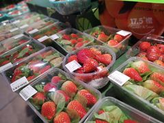 -水秀国际大剧院