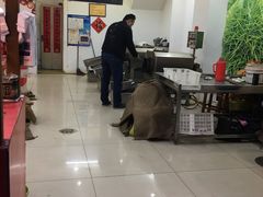 -阿男野栗王(金门路店)