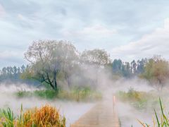 -沈阳植物园