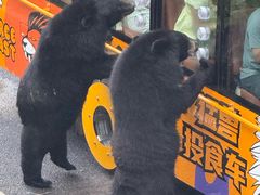 -大连森林动物园