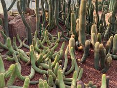 -南通洲际绿博园