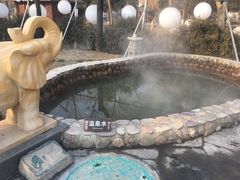 -南宫温泉水世界