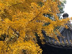 -无锡惠山寺