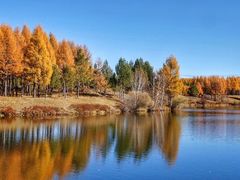 -塞罕坝国家级自然保护区