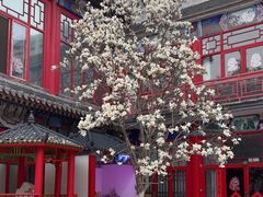 -华声天桥民俗文化园