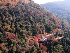 -广州市石门国家森林公园