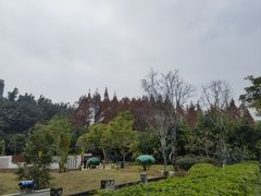 -金山公园