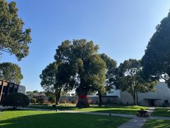 -养云安缦吧THE BAR