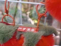 -绿茶餐厅(滨海万达广场店)