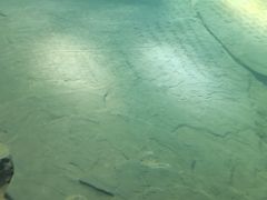 -白鹤梁水下博物馆
