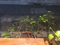 -阿木舂记·特色小吃(平江路店)