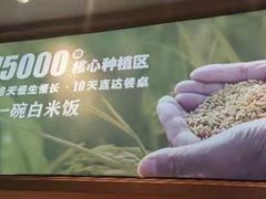 -谷田稻香·砂锅菜(元洪店)