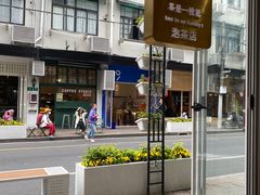 -茶是一枝花泡茶店