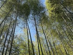 -黄公望隐居地