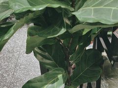 -沼津港精致料理·寿喜烧·烧鸟(龙湖南桥天街日料榜单店)