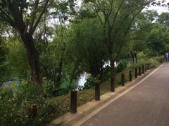 -贵阳市花溪国家城市湿地公园