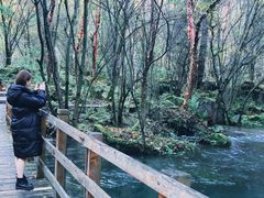 -叠溪松坪沟景区