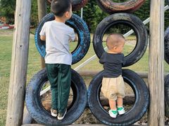 -前小桔亲子创意农场·草莓采摘·露营烧烤