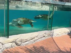 -海合安成都极地海洋公园