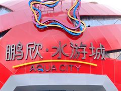 -鹏欣水游城