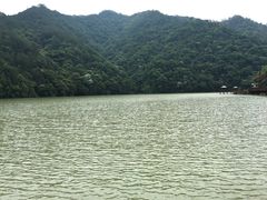 -天台国家森林公园水上茶乡九鹏溪