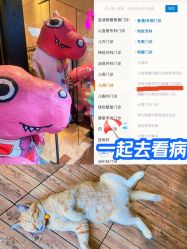 -上海交通大学医学院附属上海儿童医学中心(陆家嘴总院区)