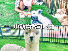 -云梦方舟欢乐水世界