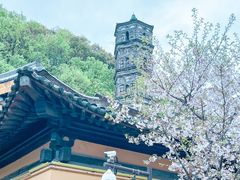 -紫阳古街