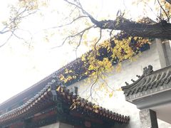 -中央民族大学