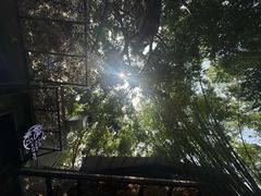 -樾餐厅泰式海鲜火锅(民歌湖店)