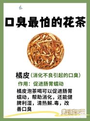 -香薇妮丝女子减肥院
