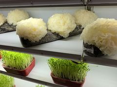 -番食园鲜食火锅(高新店)