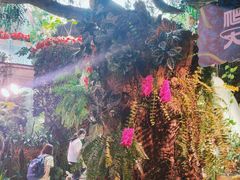 -正佳雨林生态植物园