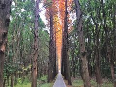 -同里国家湿地公园