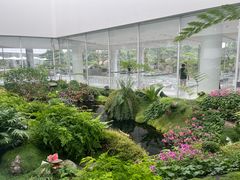 -罗红摄影艺术馆